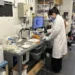 University of Waterloo PhD student Wei Wei, who led the research, in the lab working on plastic upcycling.