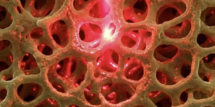 The nanoporous structure allows the gold to interact with light in a way that would otherwise not be possible.