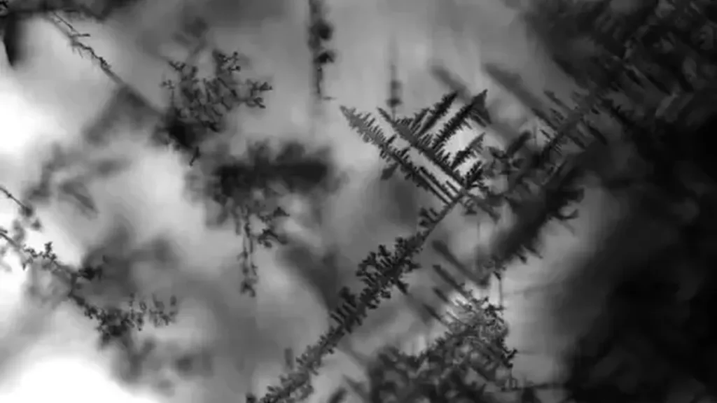 « Angiographie » argentique d'un cristal de pérovskite à halogénure de plomb. Cette technique de coloration électrochimique à base d'ions argent, mise au point à l'ISTA, permet de visualiser la structure des parois de domaine du matériau au microscope.