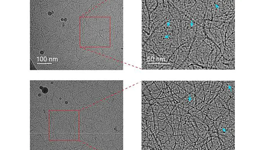 En examinant des échantillons congelés de PEDOT:PSS sous un microscope cryo-électronique, l'équipe a pu observer à haute résolution les fibres individuelles en forme de poils qui confèrent au matériau sa conductivité. L'équipe a remarqué que les fibres isolées (marquées par des flèches bleues) apparaissaient à des fréquences variables en fonction des additifs salins présents dans le matériau.
