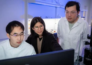 Tian Lang (à gauche), Hae Yeon Lee et Yifeng Liu Crédit : Jorge Vidal/Université Rice