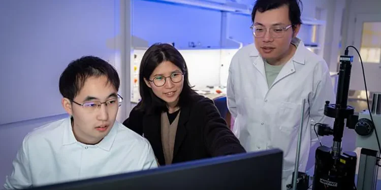 Tian Lang (à gauche), Hae Yeon Lee et Yifeng Liu Crédit : Jorge Vidal/Université Rice