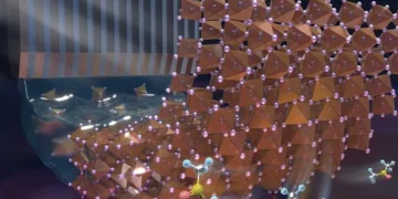 Mécanisme d'action des germes cristallins solvates à l'interface enfouie. (Crédit : Image par SUN Xiuhong)