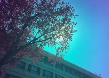 Image réelle vue à travers une fenêtre solaire de couleur cyan. (Crédit : restrictions d'utilisation. Le crédit doit être attribué au créateur.)