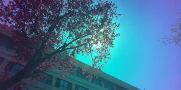 Image réelle vue à travers une fenêtre solaire de couleur cyan. (Crédit : restrictions d'utilisation. Le crédit doit être attribué au créateur.)