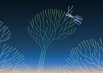 La technique ML « élague » le modèle afin de le rendre plus compact. (Crédit : Avesta Rastan)