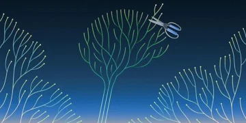 La technique ML « élague » le modèle afin de le rendre plus compact. (Crédit : Avesta Rastan)