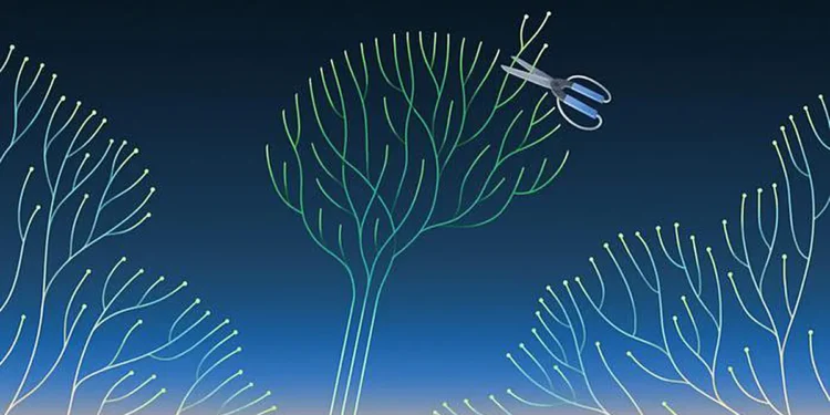 La technique ML « élague » le modèle afin de le rendre plus compact. (Crédit : Avesta Rastan)