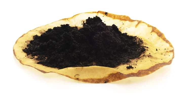 Des déchets de café transformés en solution pour l'air pur