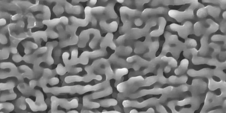 Image d'une batterie secondaire Mg-O2 utilisant du graphène nanoporeux dopé à l'azote après décharge (Crédit : Yoshikazu Ito, Université de Tsukuba)