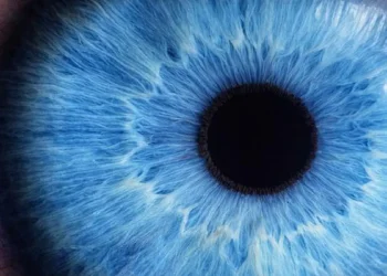 Une peau artificielle inspirée de l'œil permet aux robots de ressentir avant de toucher