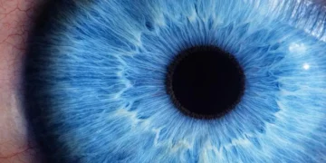 Une peau artificielle inspirée de l'œil permet aux robots de ressentir avant de toucher