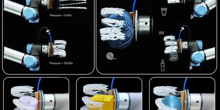 Une pince souple fabriquée selon notre méthode, qui a réussi à soulever (i) une pelote de laine, (ii) un gobelet en plastique et (iii) une bouteille en plastique, ainsi que d'autres objets en 3D (cylindre, cube et sphère). Crédit : Rezanejad et al, 2026.