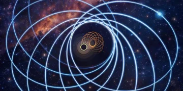 Illustration artistique d'un binaire excentrique étoile à neutrons-trou noir. La trajectoire de l'étoile à neutrons est représentée en bleu et le mouvement du trou noir en orange tandis que les deux objets orbitent l'un autour de l'autre. L'excentricité représentée ici est exagérée par rapport au système réel, GW200105, pour rendre l'effet sur le mouvement orbital plus clair.