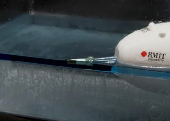 Le « Electronic Dolphin » de l'équipe du RMIT, un mini-robot de validation de principe, récupère le kérosène à la surface de l'eau, offrant ainsi un moyen plus sûr et plus ciblé d'intervenir en cas de déversement dans des environnements sensibles.