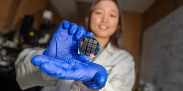 Une plaquette sur laquelle sont gravés les composants d'une plateforme matérielle inspirée du cerveau.