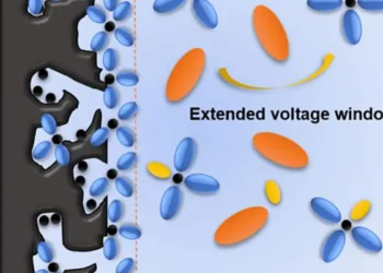 Des carbones poreux hiérarchiques dérivés de la lignine permettant la fabrication de condensateurs électrochimiques haute tension à faible autodécharge