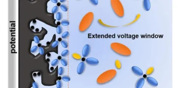 Des carbones poreux hiérarchiques dérivés de la lignine permettant la fabrication de condensateurs électrochimiques haute tension à faible autodécharge