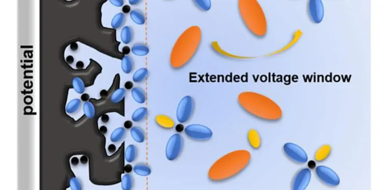 Des carbones poreux hiérarchiques dérivés de la lignine permettant la fabrication de condensateurs électrochimiques haute tension à faible autodécharge