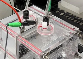 Le système d'électrolyse de l'eau de mer à double cathode mis au point par l'équipe de recherche