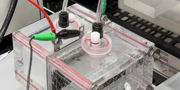 Le système d'électrolyse de l'eau de mer à double cathode mis au point par l'équipe de recherche