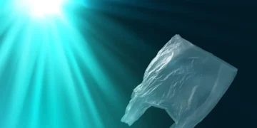 Des bactéries océaniques s'associent pour dégrader le plastique biodégradable