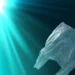 Des bactéries océaniques s'associent pour dégrader le plastique biodégradable