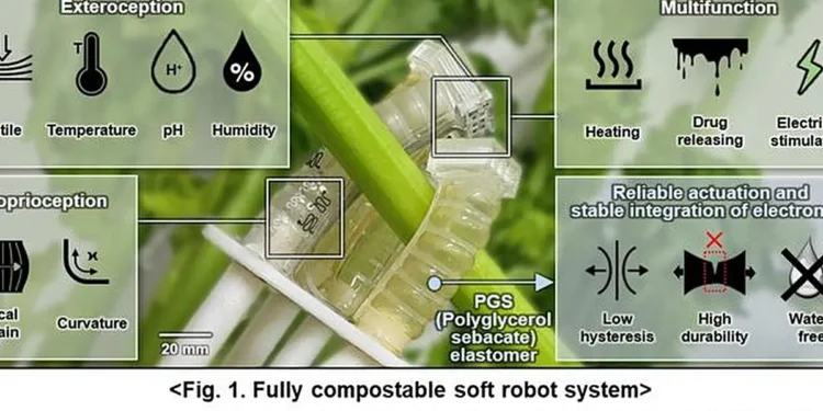 Système robotique souple entièrement compostable.