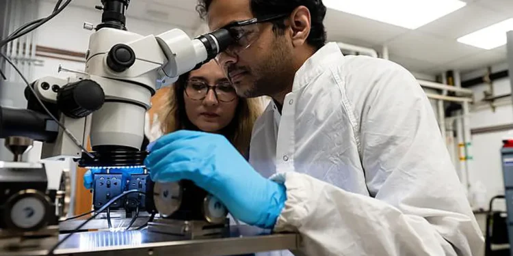 Aida Ebrahimi, à gauche, et Vinay Kammarchedu ont mis au point un transistor à effet de champ amélioré capable d'alimenter des capteurs d'une sensibilité et d'une résistance exceptionnelles.