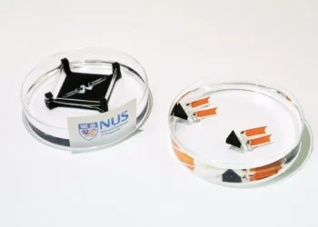 Un robot biohybride propulsé par des muscles cultivés bat des records de vitesse