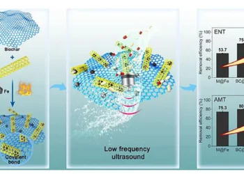 Élimination durable des antibiotiques grâce à l'effet de cavitation ultrasonique renforcé par le biochar : synergie entre le composite biochar@Fe₃C lié par des nanotubes de carbone et l'efficacité énergétique à basse fréquence