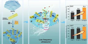 Élimination durable des antibiotiques grâce à l'effet de cavitation ultrasonique renforcé par le biochar : synergie entre le composite biochar@Fe₃C lié par des nanotubes de carbone et l'efficacité énergétique à basse fréquence