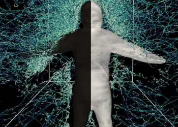 Les moustiques dévoilent leurs stratégies de vol face aux humains