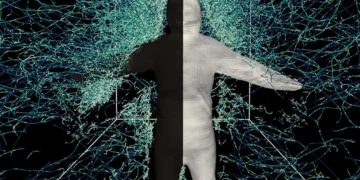 Les moustiques dévoilent leurs stratégies de vol face aux humains