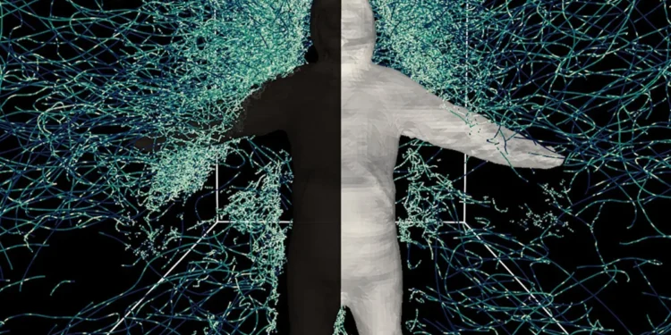 Les moustiques dévoilent leurs stratégies de vol face aux humains