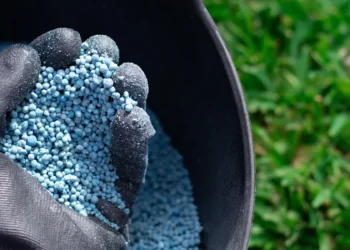 Cadmium : l'urgence d'une dépollution à la racine pour assainir notre alimentation