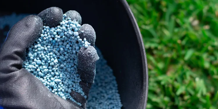 Cadmium : l'urgence d'une dépollution à la racine pour assainir notre alimentation