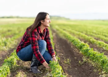 Le foncier agricole se réinvente pour accueillir une nouvelle génération d'agriculteurs
