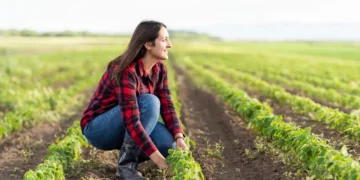 Le foncier agricole se réinvente pour accueillir une nouvelle génération d'agriculteurs