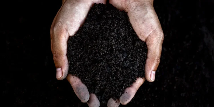 Le biochar, un allié méconnu dans la lutte contre le réchauffement climatique