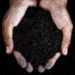 Le biochar, un allié méconnu dans la lutte contre le réchauffement climatique