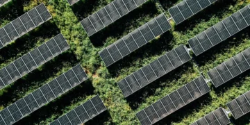 Une percée japonaise dépasse la limite théorique des cellules solaires
