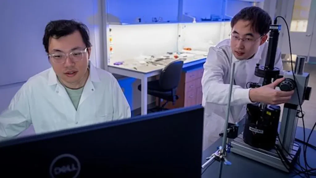 Yifeng Liu et Tian Lang (Crédit: Photo by Jorge Vidal/Rice University)