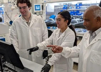 Batteries : décryptage de la recherche sur les cathodes lithium-ion