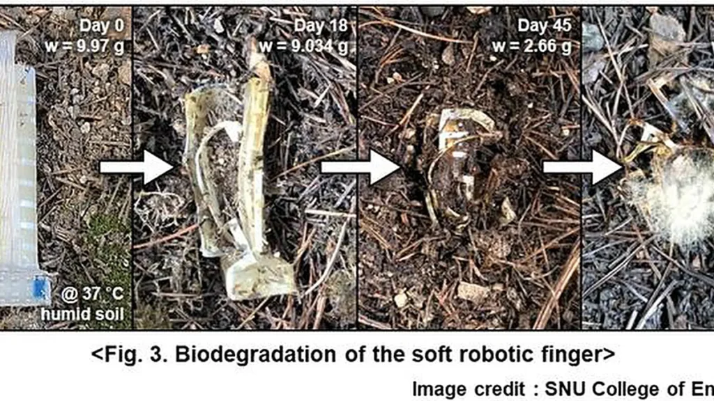 Biodégradation du doigt robotique souple