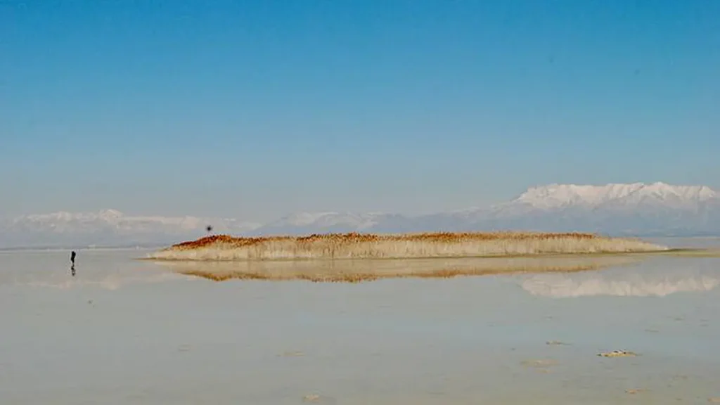 Un monticule recouvert de pragmites qui s'est formé sur la plaine asséchée de Farmington Bay. Il s'est formé ces dernières années sous l'effet de l'eau douce remontant à la surface du lit lacustre mis à nu.