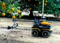 Un robot conçu pour faciliter l'irrigation de précision en action, dans un verger d'agrumes.
