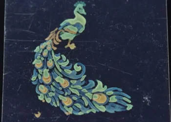 Une couleur structurelle inaltérable et non toxique peut désormais être appliquée sur des surfaces planes ou en 3D à l'aide d'une imprimante à jet d'encre. Hiroshi Sugimoto, ingénieur en matériaux à l'université de Kobe, déclare : « Je suis vraiment ravi que la mise au point d'une suspension de nanosphères de silicium compatible avec l'impression à jet d'encre permette enfin l'impression en couleur sans recourir à des pigments ou à des colorants. »