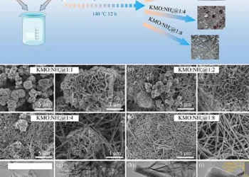 Une cathode bi-phase cristalline à haute performance pour les batteries zinc-ion aqueuses de nouvelle génération