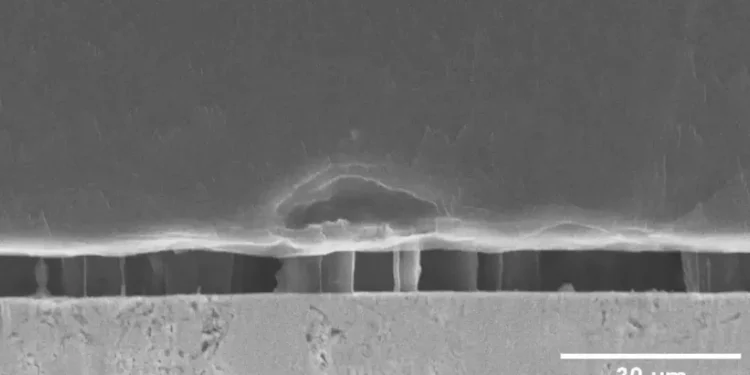 Un ingénieur expose une faiblesse structurelle à l'origine des défaillances des batteries lithium-ion